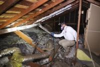 Tanler Termite and Pest Control-Los Angeles image 5